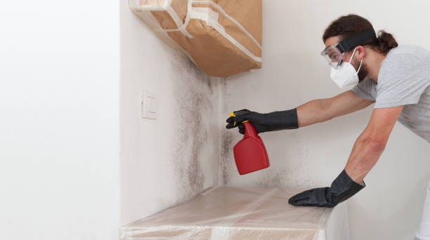 Professional Crawl Space Mold Remediation technician working in Joint Base Mdl, NJ
