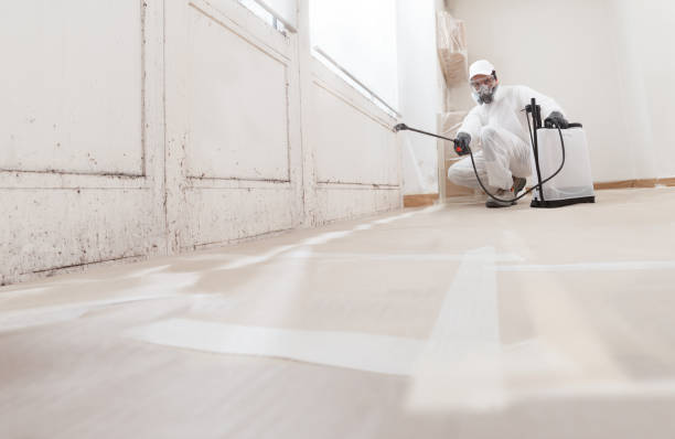 24/7 Emergency Crawl Space Mold Remediation experts in Joint Base Mdl, NJ